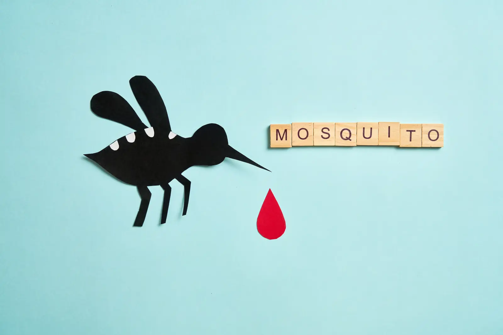 Paper cut-out mosquito with a red blood drop and wooden tiles spelling mosquito, illustrating how chikungunya and dengue are spread